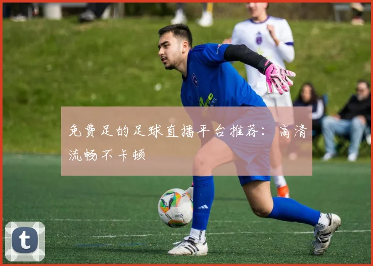 免费足的足球直播平台推荐：高清流畅不卡顿